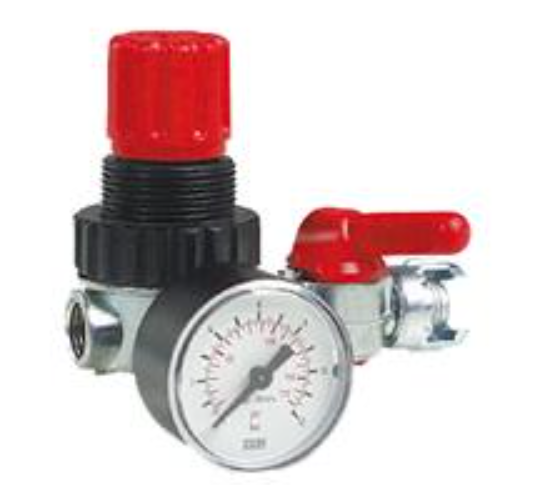Regolatore di pressione con manometro e rubin. 1/4' F MOD. 970