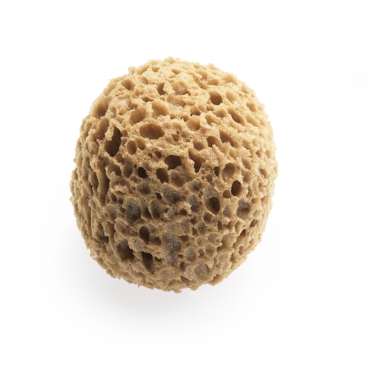 SPUGNETTA PER DECORAZIONI