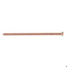 KIT 100 CHIODI D.2,6X50